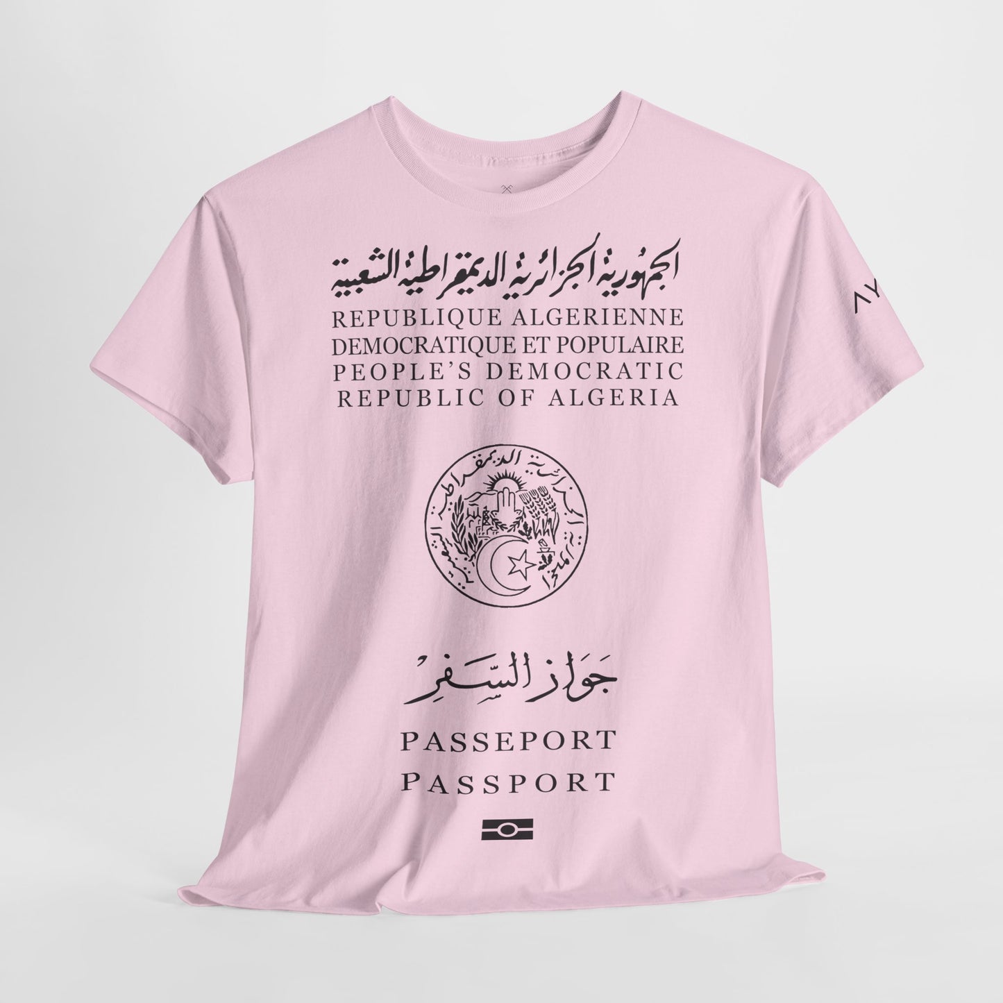 Passport DZ T-Shirt